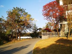 -东海森林温泉度假酒店