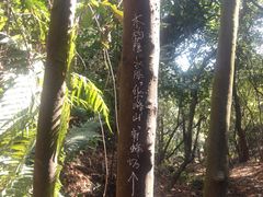 -黄埔油麻山森林公园