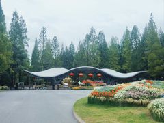 -东平国家森林公园