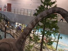 -湖南省地质博物馆