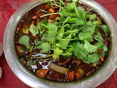 醉牛肉-无味饭店(九眼桥商业文化广场店)