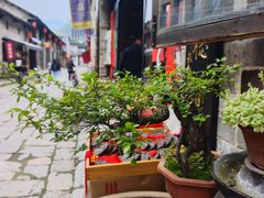 -羊楼洞