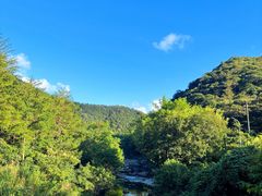 -北仑森林植物园