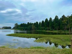 -渌洋湖湿地公园