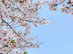 -龙美术馆(西岸馆)