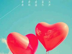 芋艿煲-阿英煲(凉城路店)