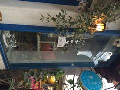 Anne猫窝咖啡屋-Anne猫窝咖啡屋