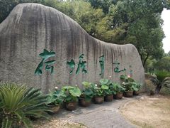 -荷塘月色湿地公园·向阳花洲