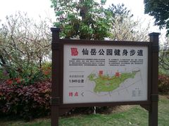-仙岳公园