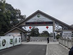 -中国大熊猫保护研究中心雅安碧峰峡基地