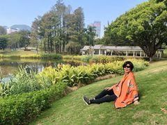-四海公园(南山区)