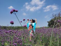 -北纬44度·金珠花海休闲农业旅游景区