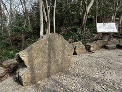 -上海佘山国家森林公园天马山园