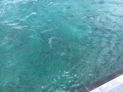 -亚龙湾海底世界