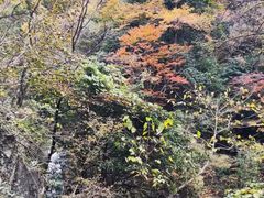 -太湖源风景区