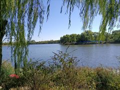 -亲兄弟真人CS团建拓展基地