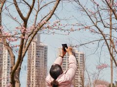 -西北湖绿化广场