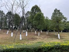 -桂溪生态公园