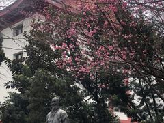 -四川大学(望江校区)