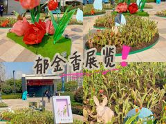 -西安电影制片厂