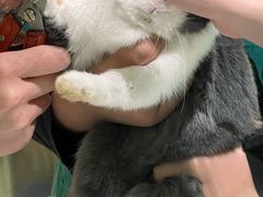 -雨林宠物医院 非犬猫异宠专科
