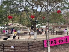 -盈香心动乐园
