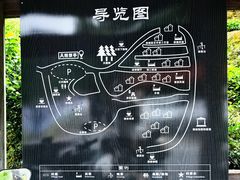 -杨家堂村
