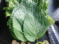 -炭虎烤肉(桂林路店)
