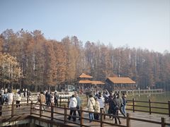 -采石矶景区