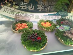 -芸山季·云南山珍菌火锅(人民广场来福士店)