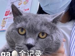 -瑞派宠物医院(锦江店)