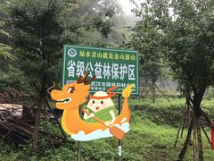 没找到公园招牌-素山寺森林公园