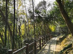 -上海佘山国家森林公园天马山园