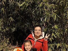 -赭山公园