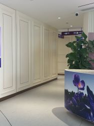 -广州美莱医疗美容医院