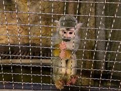 -成都浩海立方海洋公园