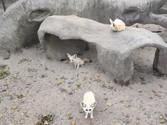 -上海野生动物园