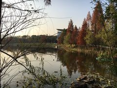 -浙江农林大学(东湖校区)