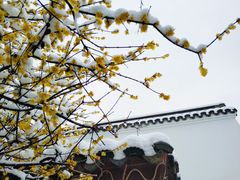 -荆川公园