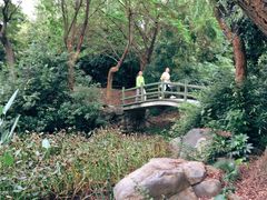 -宝界山林公园