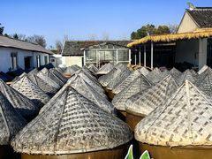 -苏州市吴中区光福窑上花果蜜饯厂