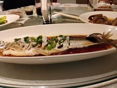 -金美华轩(东方路齐鲁店)