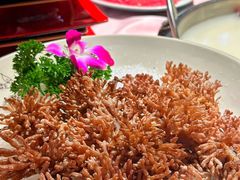 -纯味斑鱼府(上海总店)