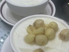 莲子双皮奶冻-义顺牛奶公司(新马路老店)