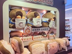 -首开·龙湖成都西宸天街