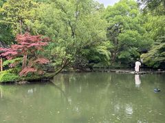 -杭州植物园