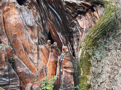 -新安江山水画廊风景区