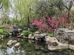 -趵突泉景区