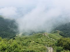 -灵山