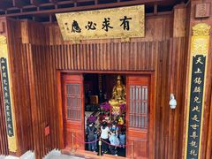 -深圳仙湖植物园